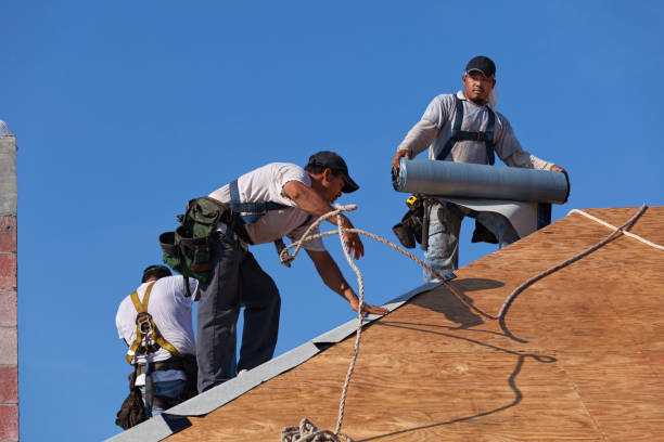 Best Roof Waterproofing Services  in Springfield, VA