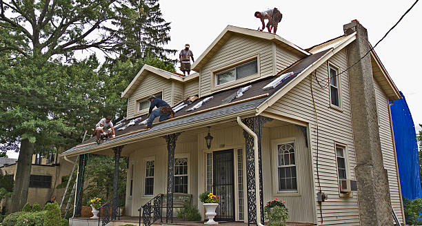 Best Flat Roof Repair Services  in Springfield, VA